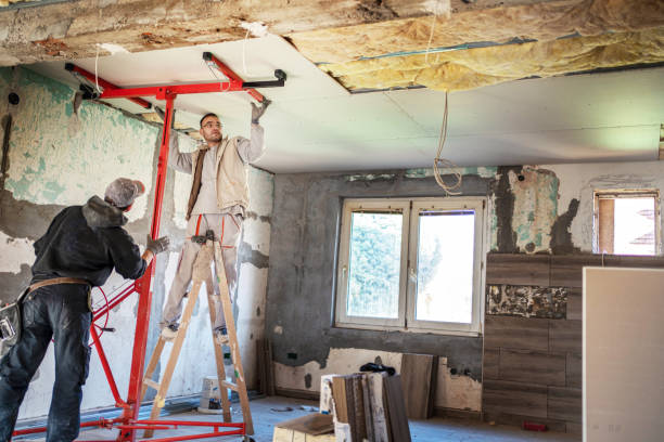 Best Insulation Installation Services in Larch Y, WA